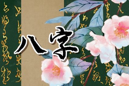 纳音与生肖有何不同
